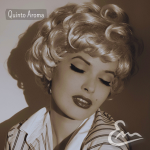 Home perfume artesano quinto aroma maresencia