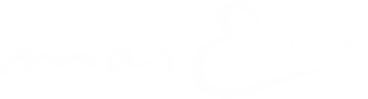 logo blanco (1)